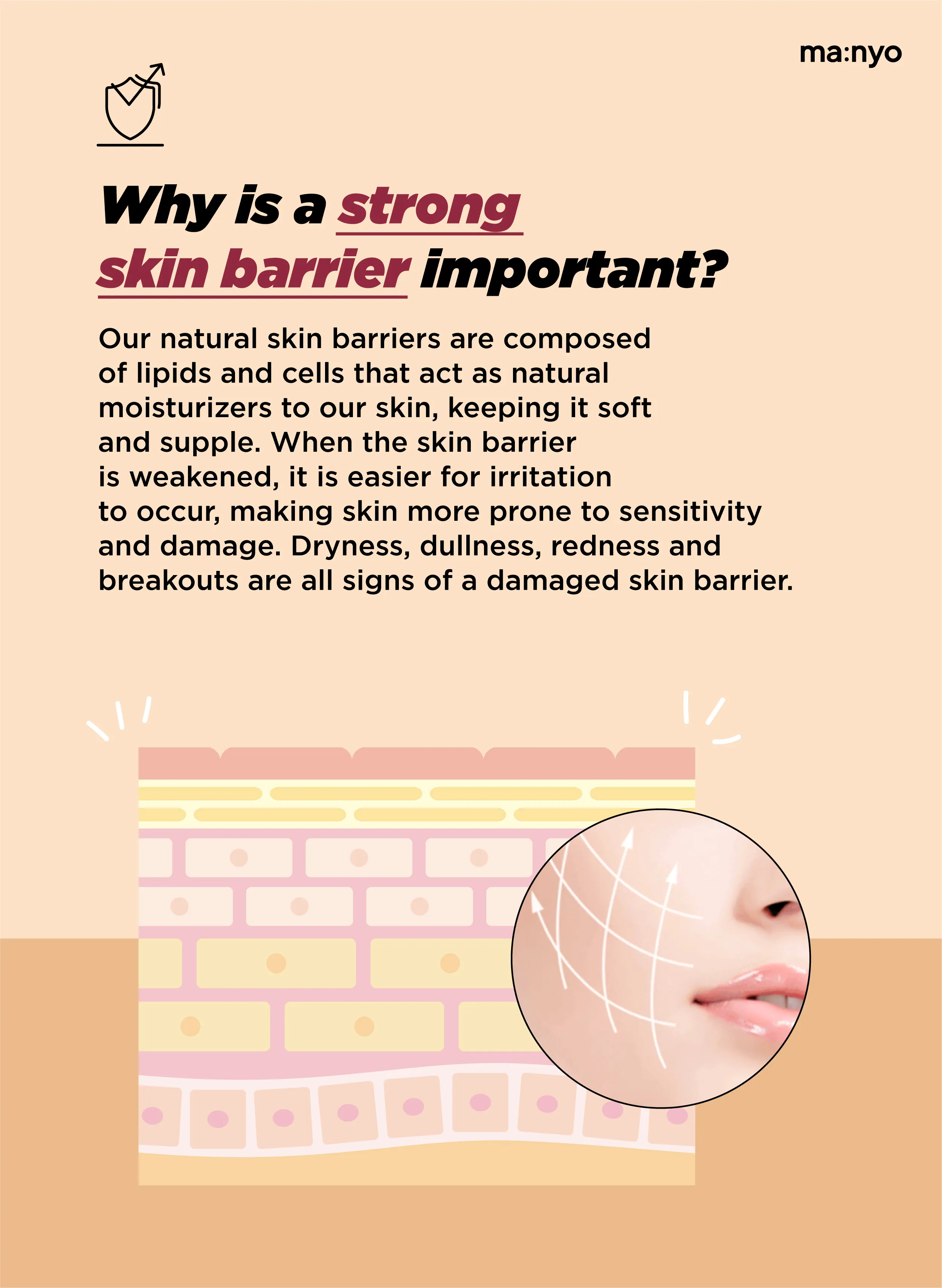 Bifida Biome Ampoule Toner