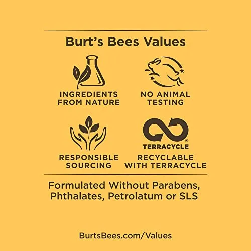 Burt's Bees 100% Natural Origin Moisturizing Lip Balm, Mint Cocoa - 1 Tube Clear, Christmas Gifts, Stocking Stuffer