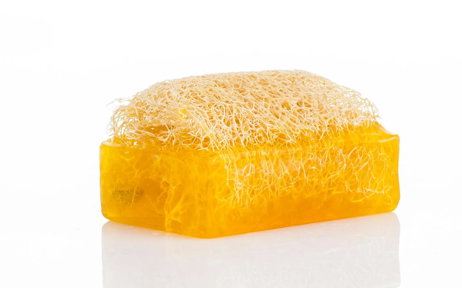 Citrus Parade Loofah Soap