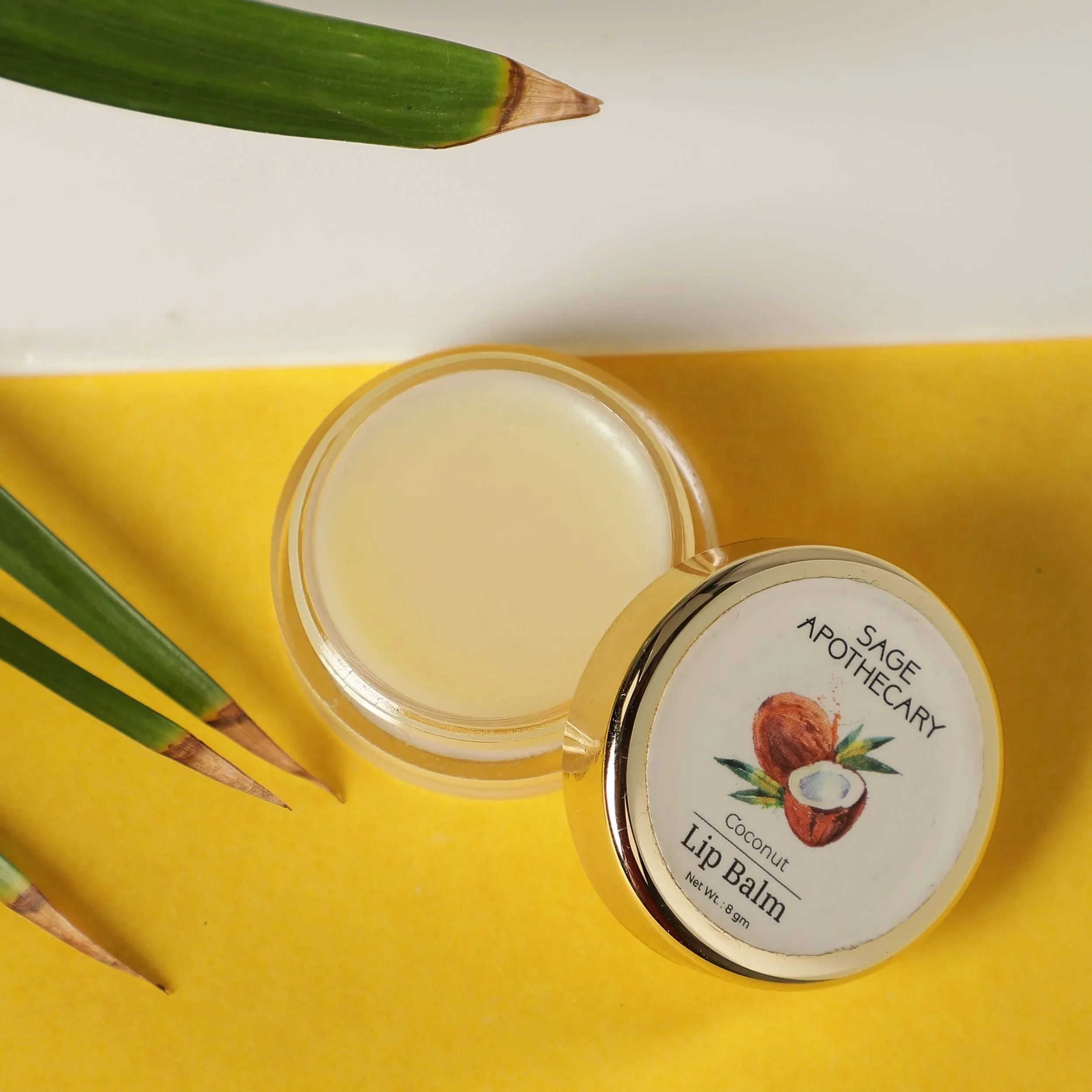 Coconut Lip Balm to Protect & Heal Lips Lighten and Brighten Dark Lips