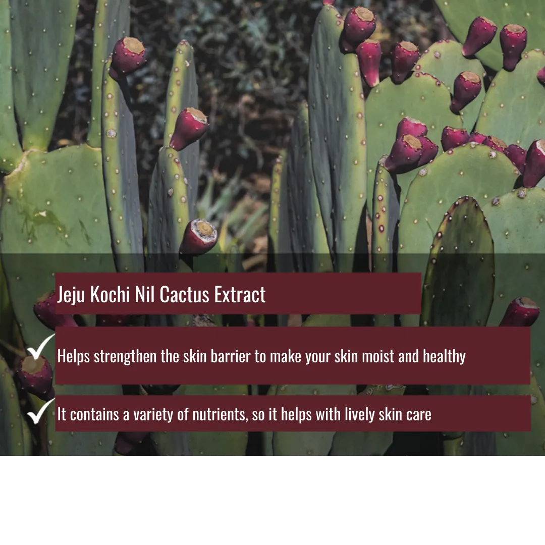 [GANGBLY] Jeju Cactus Bright Mask
