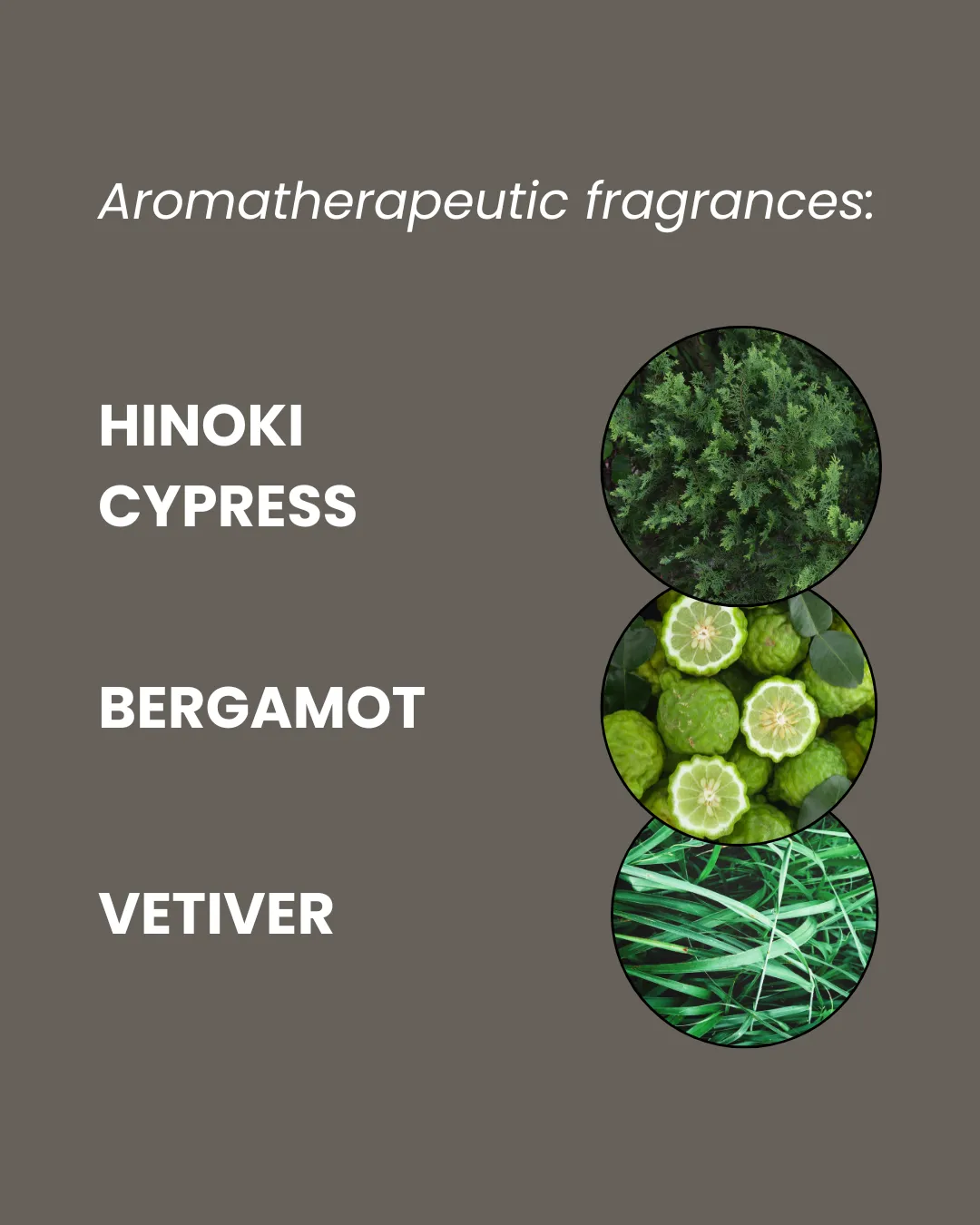 Hinoki Wood Shower Gel 200ml