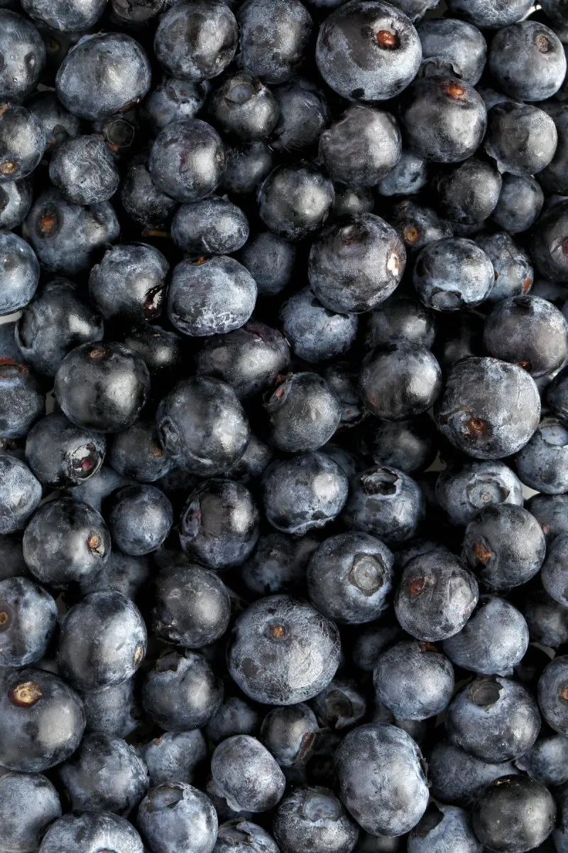Nativa SPA Açaí Moisturizing Hand Cream