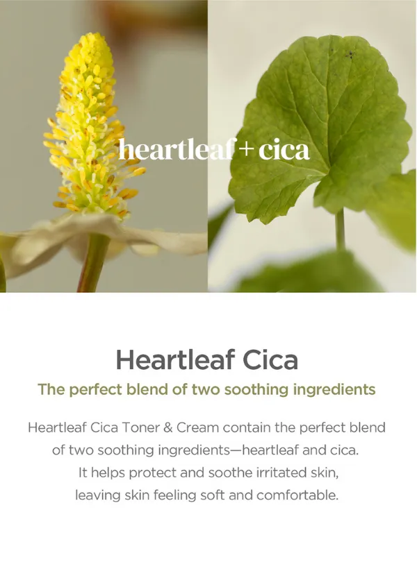 Our Vegan Heartleaf Cica Toner