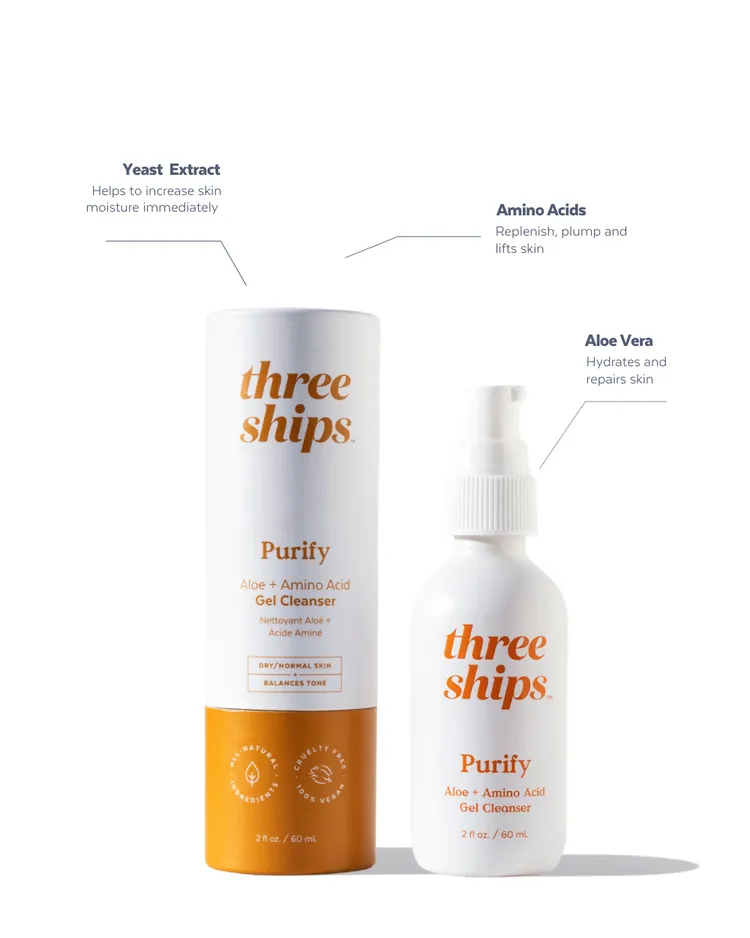 Purify Aloe   Amino Acid Cleanser