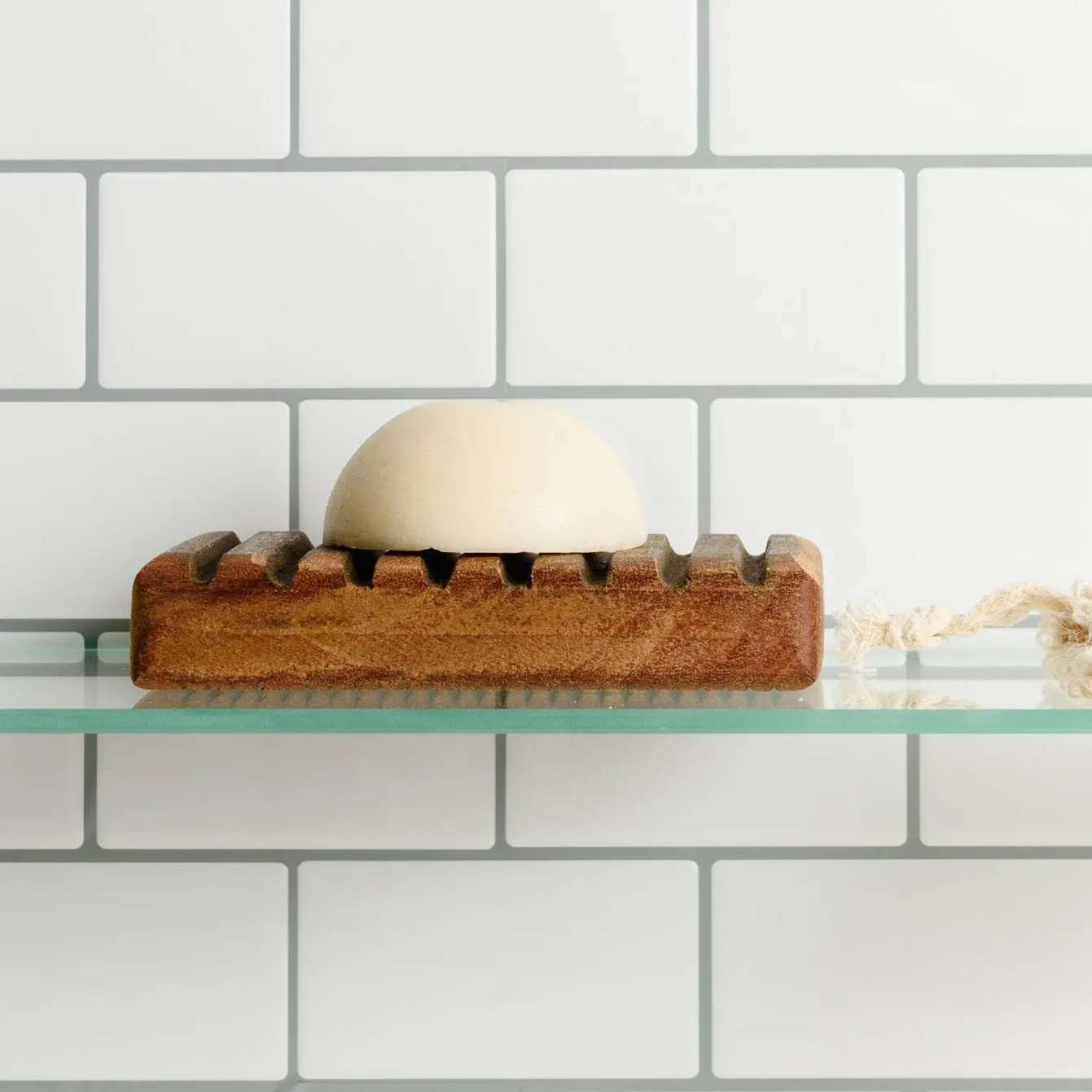 Shampoo & Conditioner Bar Discovery Bundle