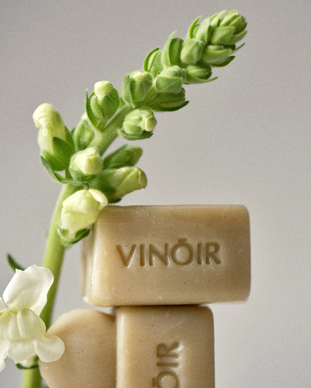 Vinoir Decanting Shampoo Bar | Le Pique-Nique
